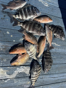 Escape to Key Largo for epic fishing!